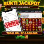 OLYMPUS SUPER SCATTER